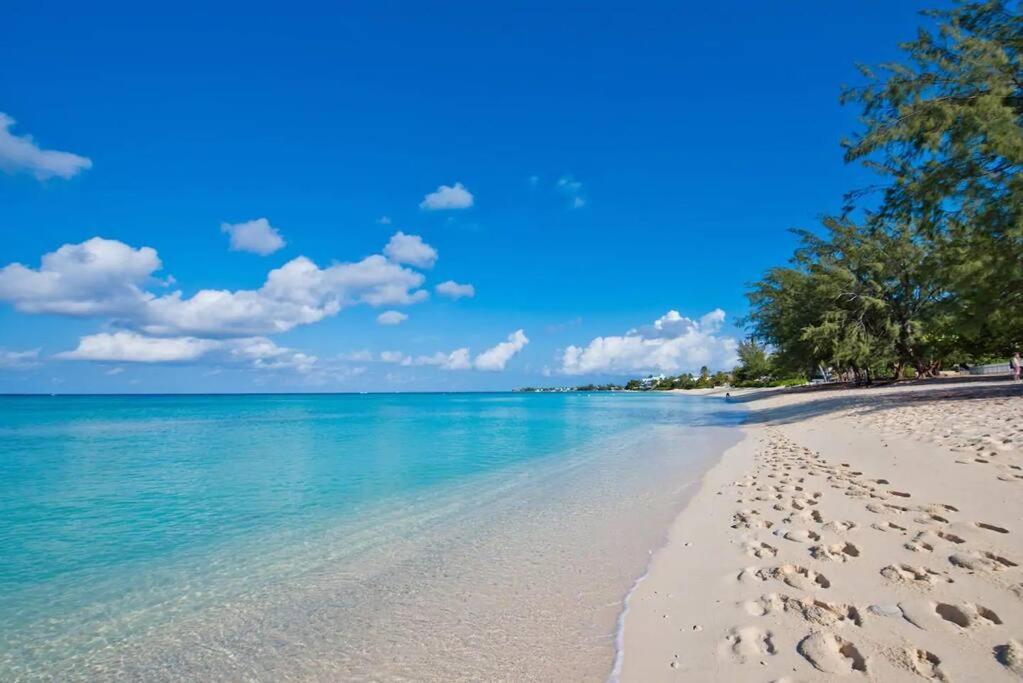 Luxury Ocean Front Seadreams 2 With 7 Mile Beach Views West Bay Extérieur photo